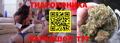 2c-b Канаш