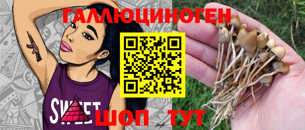 Галлюциногенные грибы мухоморы  Вход с VPN  Биробиджан 