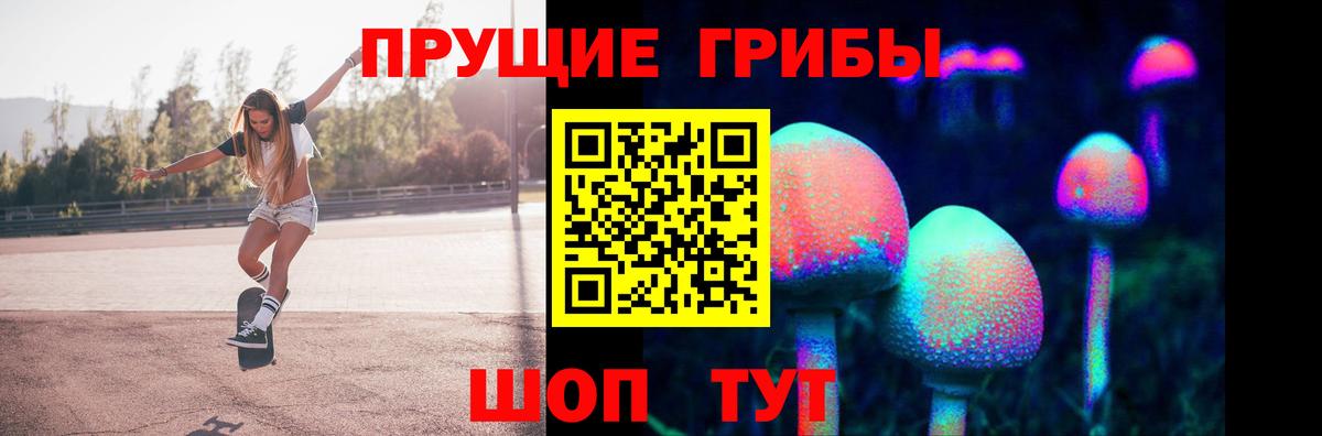 Галлюциногенные грибы Psilocybe Биробиджан