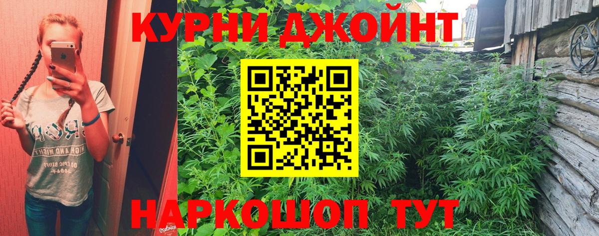 Каннабис сатива Биробиджан